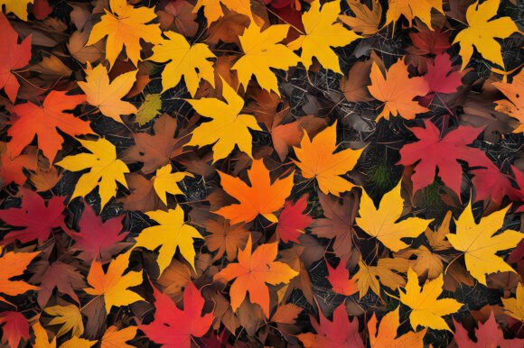 A Group of Colorful Leaves Background: A Versatile Design Resource